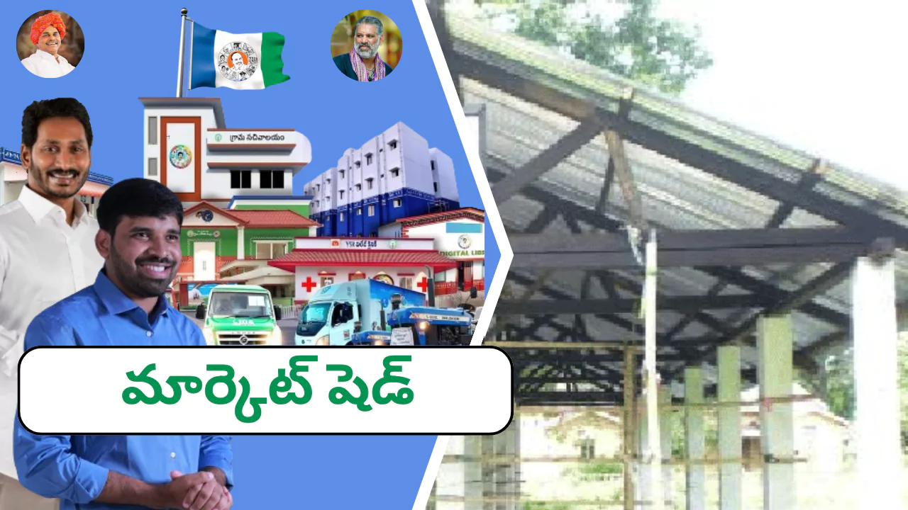 మార్కెట్ షెడ్